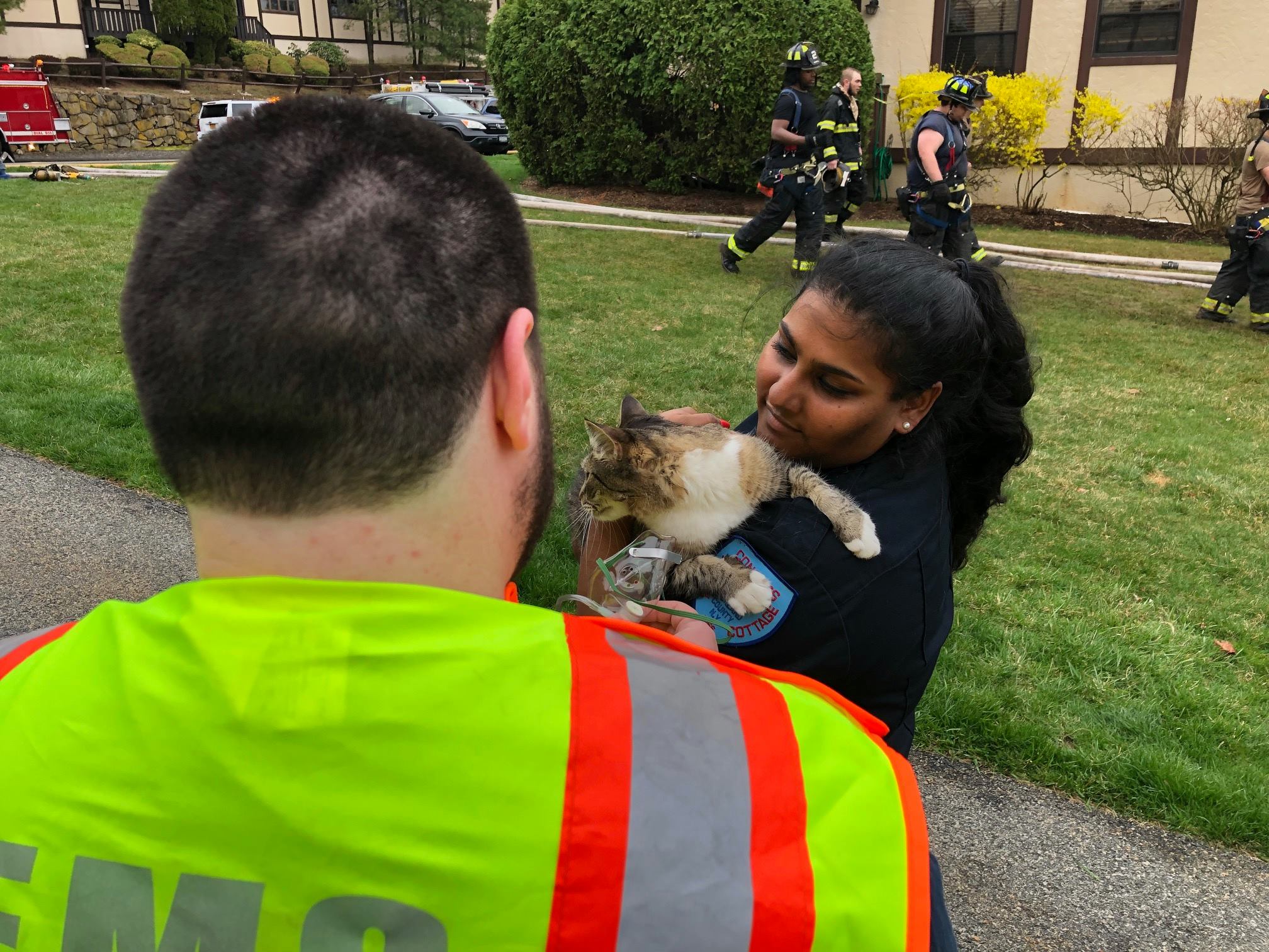 PHOTOS: Fire damages several units at the Mountainview condominium ...