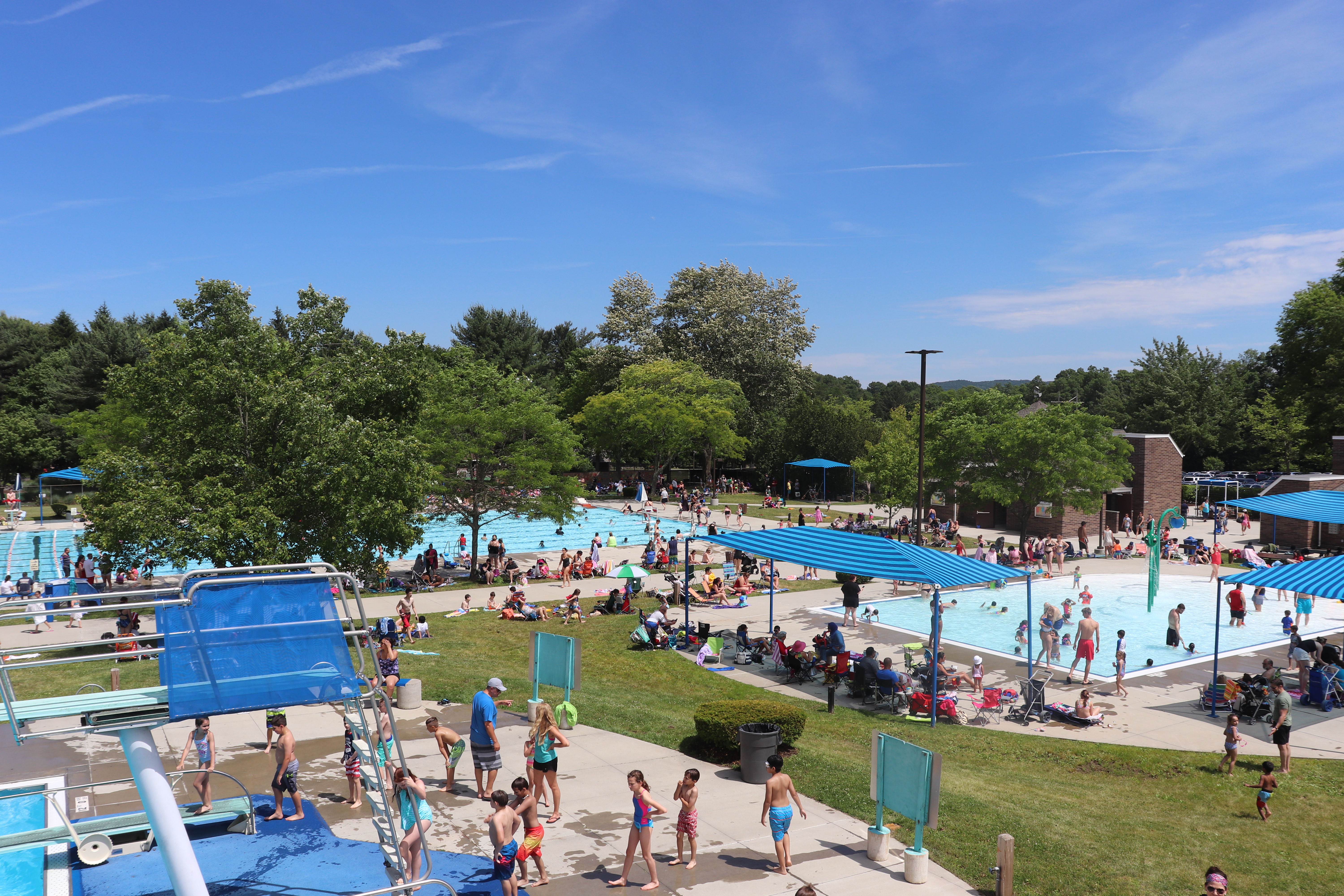 PHOTOS Annual Serendipity Saturday at Germonds Pool Rockland Report