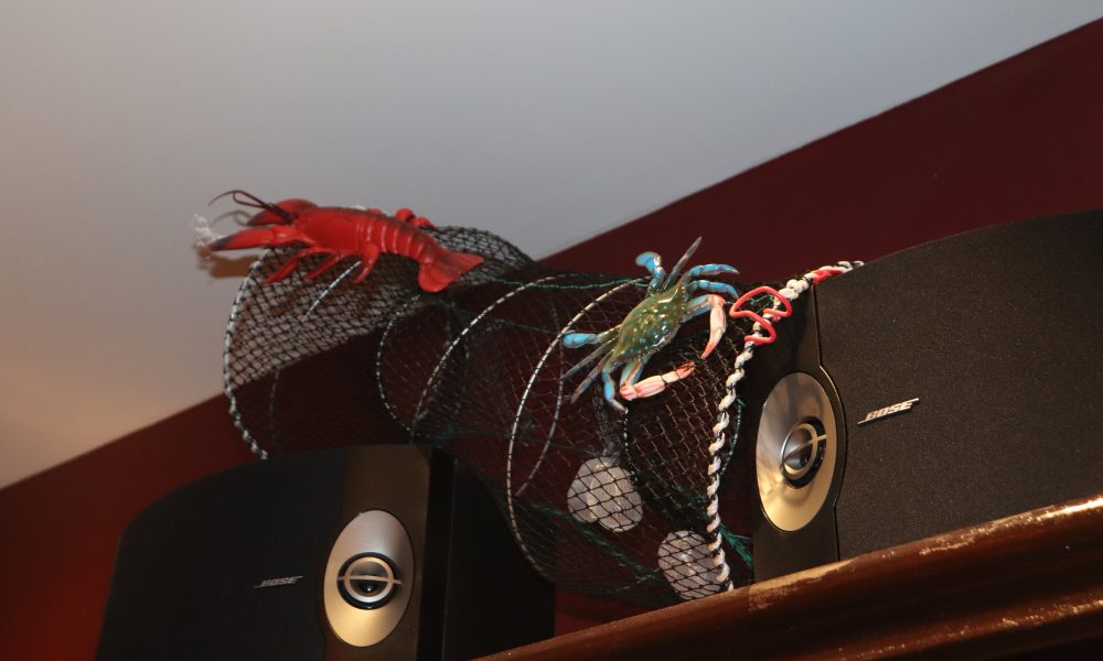 A fish trap on some speakers