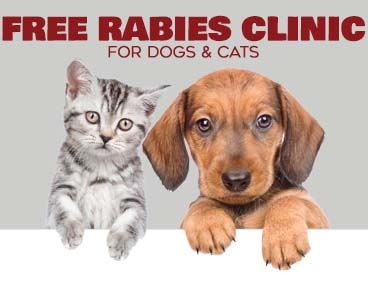 free rabies shots in my area