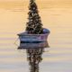 A Christmas tree on a boat