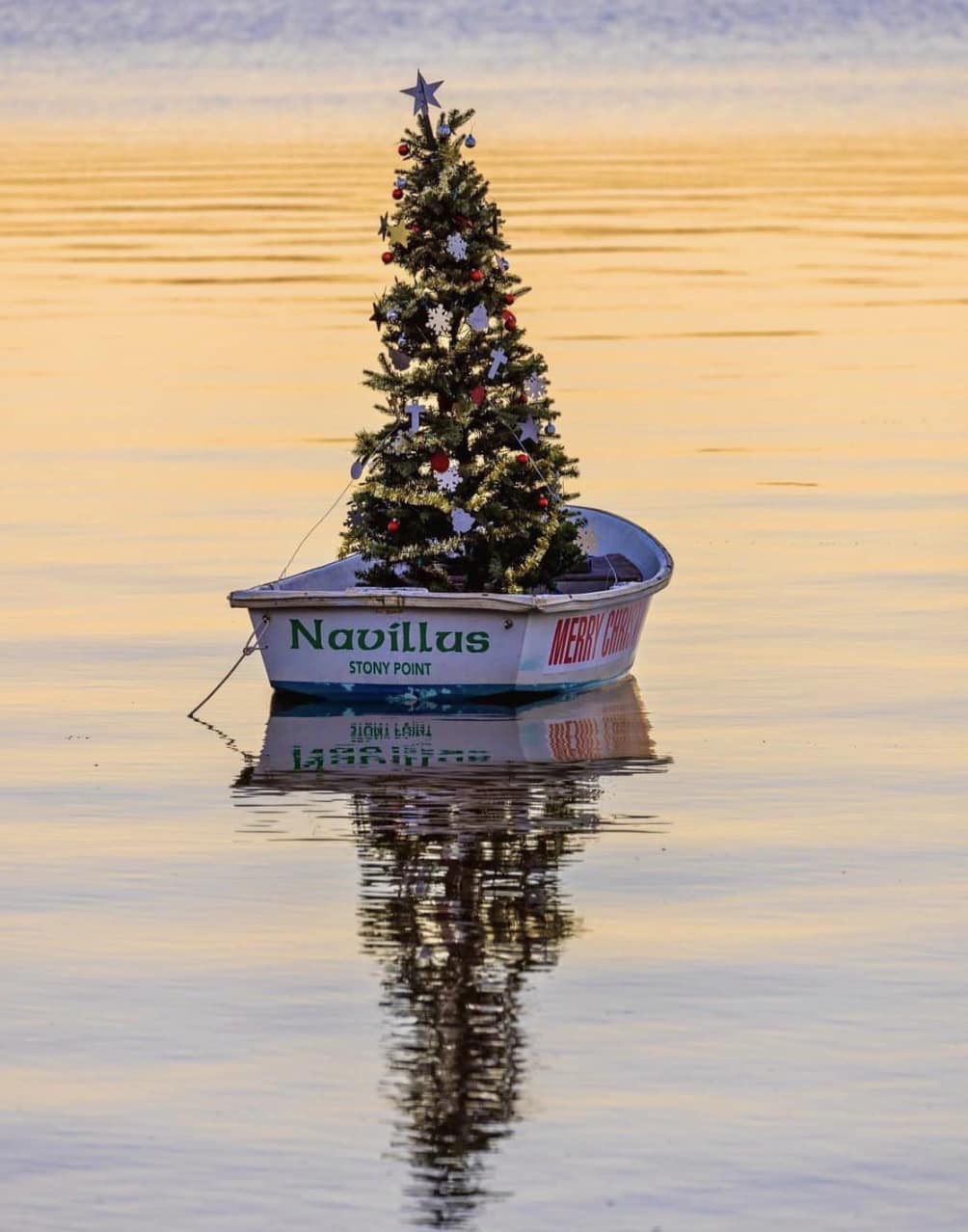 A Christmas tree on a boat